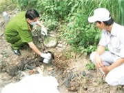 Bóng đá anh, ngoại hạng anh, lịch thi đấu euro 2012, Phạt công ty xây ống ngầm xả thải xuyên rừng 
